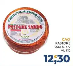 Moderna Pastore Sardo CAO offerta