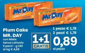 Plum Cake MR. DAY con Miele Senza Lattosio