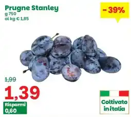 Prix Quality Prugne Stanley offerta