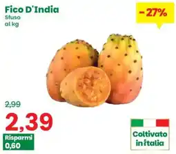 Prix Quality Fico D'India offerta