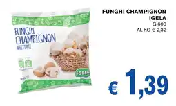 D'Italy Funghi champignon Igela offerta