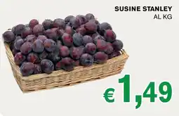 D'Italy Susine Stanley offerta