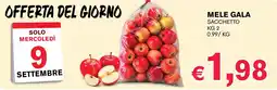 D'Italy Mele Gala offerta