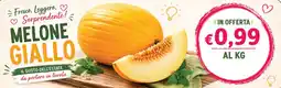 D'Italy Melone Giallo offerta