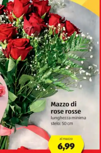 ALDI Mazzo di rose rosse offerta