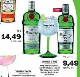 GrosMarket Tanqueray & Tonic offerta