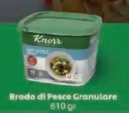 GrosMarket Knorr Brodo di Pesce Granulare offerta