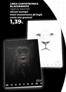 Extracoop Linea cartotecnica black&white offerta
