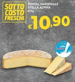 Bennet Fontal Nazionale Stella Alpina offerta