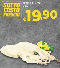 Bennet Seppia pulita offerta