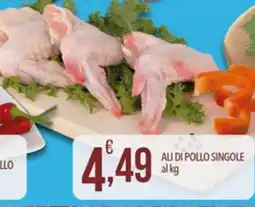 Iper Nonna Isa Ali di pollo singole offerta