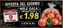 Coal City Mele Gala offerta