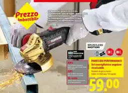 Lidl PARKSIDE PERFORMANCE Set smerigliatrice angolare ricaricabile offerta