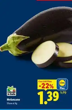 Lidl Melanzane offerta