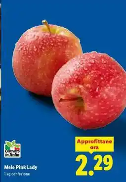Lidl Mele Pink Lady offerta