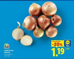 Lidl Cipolle Dorate Selenella offerta