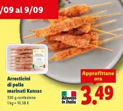Lidl Arrosticini di pollo marinati Kansas offerta