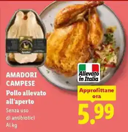 Lidl AMADORI CAMPESE offerta
