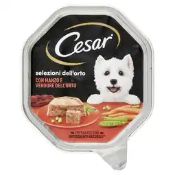 Spazio Conad LINEA CESAR offerta