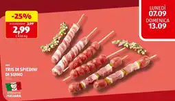 ALDI BBQ TRIS DI SPIEDINI DI SUINO offerta
