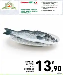 Spazio Conad Branzini freschi Conad Percorso Qualità offerta