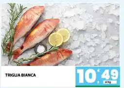 Eurospar TRIGLIA BIANCA offerta