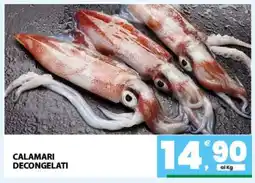 Eurospar Calamari Decongelati offerta