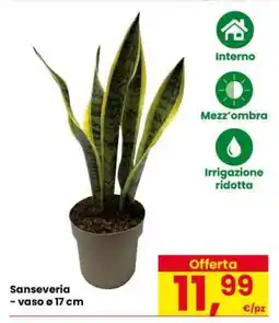 Eurospar Sanseveria offerta