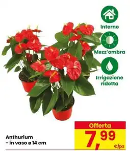 Eurospar ANTHURIUM offerta