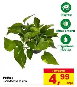 Eurospar POTHOS offerta