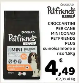 Conad CROCCANTINI PER CANE MINI CONAD PETFRIENDS PLUS offerta