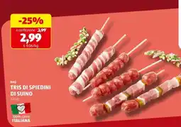 ALDI TRIS DI SPIEDINI DI SUINO offerta