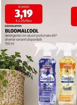 ALDI COCCOLATEVI BLOOMALCOOL offerta
