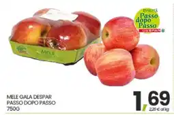 Eurospar MELE GALA DESPAR offerta