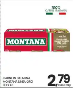 Eurospar CARNE IN GELATINA MONTANA LINEA ORO 90G X3 offerta