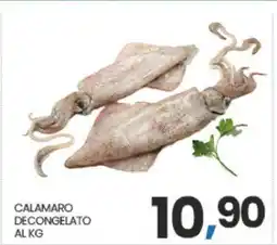 Eurospar CALAMARO DECONGELATO AL KG offerta