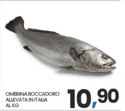 Eurospar OMBRINA BOCCADORO offerta