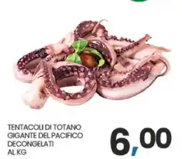 Eurospar TENTACOLI DI TOTANO GIGANTE DEL PACIFICO DECONGELATI AL KG offerta