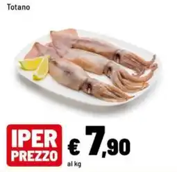 Iper La Grande Totano offerta