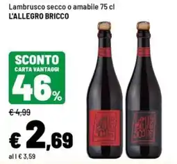 Iper La Grande Lambrusco secco o amabile L'ALLEGRO BRICCO offerta