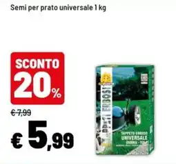 Iper La Grande Tappeto erboso universale offerta