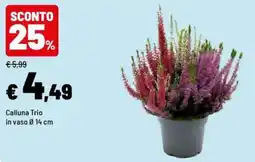 Iper La Grande Calluna Trio offerta