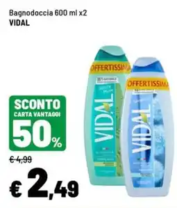 Iper La Grande Bagnodoccia Vidal offerta