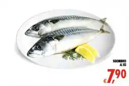 Deco Iperstore Sgombro offerta