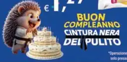 Deco Iperstore Cintura nera del Pulito offerta