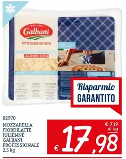 Zona Mozzarella fiordilatte julienne galbani professionale offerta