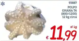 Zona Polpo Ghana T6 offerta