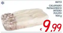 Zona Calamaro patagonico intero pulito offerta