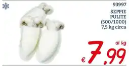 Zona Seppie pulite offerta