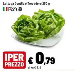 Iper La Grande Lattuga Gentile o Trocadero offerta